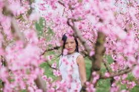 Feb 26, 2015 · this article is from flowers across melbourne. Melbourne Spring Blooms
