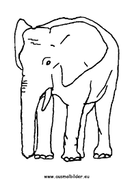 Referat elefant bilderzum ausmalen / das grosste und schwerste tier der welt nube : Ausmalbild Elefant Zum Ausdrucken