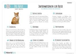 Arbeitsblatt Katzen Unterrichtsmaterial Grundschule Papier Bilderrahmen Katzen