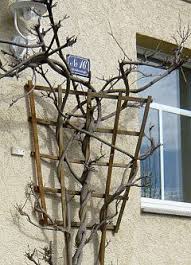See below for details and sizes. Tips For Attaching Trellises Different Wall Distances