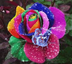 Imagini miscatoare pentru telefon gif mobil gif. Pin On Idei De Incercat