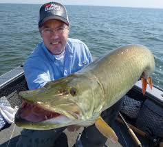 Mikhail pearthree found it and engaged it in a battle that spun. Great Lakes Muskies