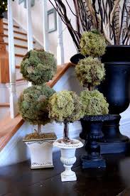 12 Diy Container Topiary Ideas To Beautify Your Home Topiary Plants Topiary Topiary Diy