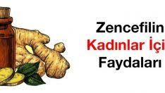 Kucuk Kan Dolasimi Nedir Saglik Dogal Cilt Bakimi Dogal Saglik