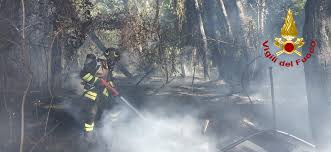 È concesso l'uso gratuito delle stesse per finalità di informazione, mantenendo inalterato il logo dei vigili del fuoco. Pescara Incendio Nella Pineta In Questo Momento Stanno Intervenendo I Vigili Del Fuoco Con 7 Mezzi