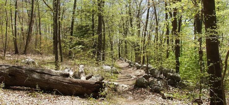 Peace Sanctuary – Denison Pequotsepos Nature Center