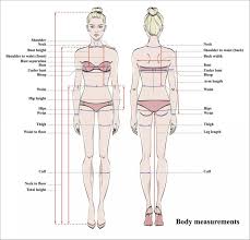 Are you searching for human body png images or vector? Woman Body Measurement Chart Scheme For Measurement Human Body For Sewing Clothes Female Figure Front And Back Views Model In Underwear Vector Stock Images Page Everypixel