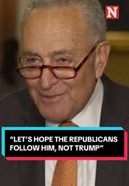 Elon Musk's Critique of Trump's Tax Break Bill