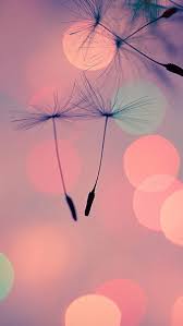 Enjoy and share your favorite beautiful hd wallpapers and background images. 46 Hd Girly Iphone Wallpaper On Wallpapersafari