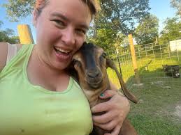 Funny Moment with Neighborhood Kitties