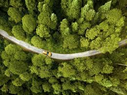 Best Cheap Car Insurance New York 2021 Forbes Advisor