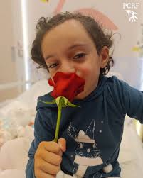 Mariam Ahmad Zeeb Farajallah, a six-year-old survivor from Gaza, endured  the loss of her mother, brother, aunt, and cousin in an Israeli airstrike.  Born via IVF after ten years of her parents'