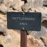 Living with Wildlife: Snakes (with WY State Parks)