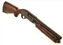 Pin On Shotguns