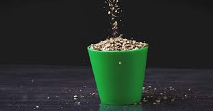 Check spelling or type a new query. Vermiculite Vs Perlite Similarities Differences And Which Is Better