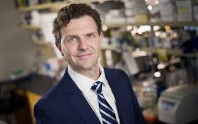 Study reveals properties of cells fated to relapse in acute lymphoblastic  leukemia