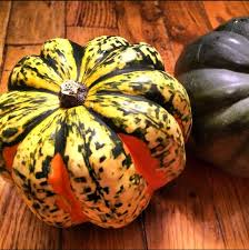 Image result for carnival acorn squash