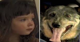 Hachiko a conquis les cœurs avec Richard Gere