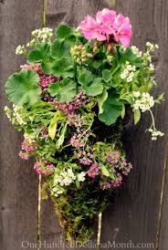 Diy Hanging Flower Basket Made With Chicken Wire And Moss One Hundred Dollars A Month Hanging Flower Baskets Hanging Baskets Diy Flowers