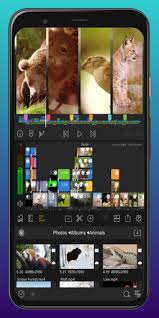 The most popular mobile video editing app for ios is now better than ever! Lumafusion Apk By Mian Tech Wikiapk Com