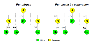 per stirpes wikipedia