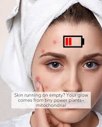 But Is It Human? Mitochondria: Your Skin's Powerhouse Your radiance? It  starts with mitochondria—tiny power plants fuelling skin repair and  collagen production. But here's the twist: mitochondria aren't entirely  human! They have
