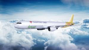 The russian tupolev plane had been taking its passengers, including 52 children, to a seaside holiday in spain when it collided with a dhl cargo plane over überlingen, near lake constance, on the. Dhl World Airline News