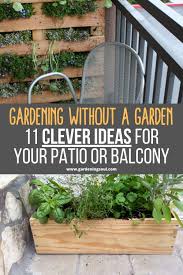 Gardening Without A Garden 11 Clever Ideas For Your Patio Or Balcony Balcony Herb Gardens Small Balcony Garden Garden Projects