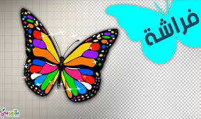 رسم فراشة وتلوينها تعليم الرسم للاطفال designs to draw drawing for kids graphic design