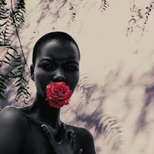 Purchasing Black Art Products