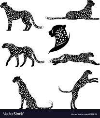 Black And White Cheetah Logo Set Of Graphic Cheetahs Vector Image On Vectorstock Leopard Tattoos Cheetah Tattoo Cheetah Drawing