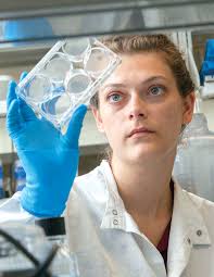 Leadership Program for Veterinary Students Annual Report 2022