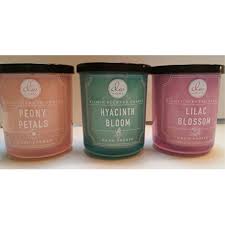 Variety Bundle Of 3 Dw Home Richly Scented Candles In Peony Petals Lilac Blossom And Hyacinth Bloom Scents 4 Oz Each Candle Walmart Com Walmart Com