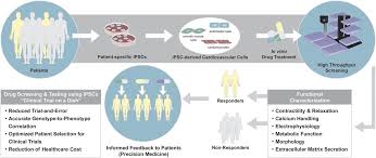 Patient And Disease Specific Induced Pluripotent Stem Cells For Discovery Of Personalized Cardiovascular Drugs And Therapeutics Pharmacological Reviews