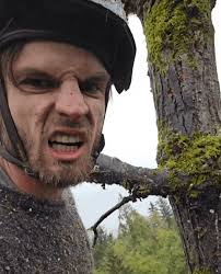 Giant Cottonwood Tree Removal in Maple Valley, WA