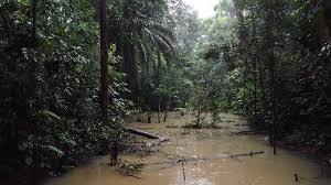 Check spelling or type a new query. This Is Clementi Forest Home Facebook