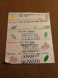 Producer Consumer Anchor Chart Science Anchor Charts Ks2