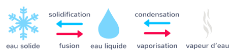 Testez la température avec votre coude (la main est un piètre indicateur des températures). Les Changements D Etat De L Eau Ce2 Cours Questionner Le Monde Kartable