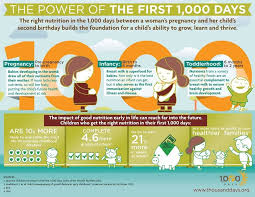Why Are The First 1000 Days So Important Check Out This Infographic To Find Out