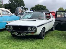 Image result for Classic Black 1977 Renault