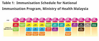 Here are a few types of vaccines available under this programme and the diseases which they prevent Infants In Sarawak Given Japanese Encephalitis Vaccine Dr Jamilah