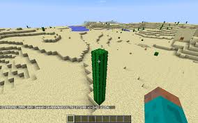 We're a community of creatives sharing everything minecraft! I Found A Six Block Tall Cactus In The Middle Of The Desert 17w49b Seed In Screenshot Minecraft