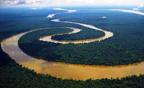 Brazil Facts 78 Interesting Facts About Brazil Cool Fcats About Brazil In 2020 Amazon Rainforest Amazon River River