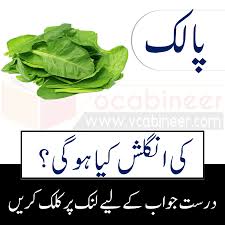 Vegetables Name In Urdu And English With Pictures Vegetables Names With Pictures Urdu Vegetables