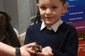 Powys: Schoolboy spider party helps overcome arachnophobia fears