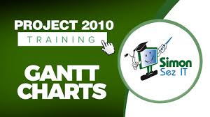 Microsoft Project 2010 Video Training Tutorial Gantt Charts