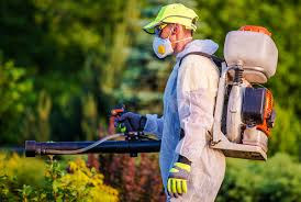 Fast solutions & dependable service. Services At Your Service Inc Pest Solutions