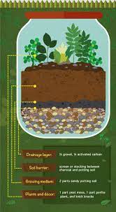 How To Build Your Own Terrarium Build A Terrarium Succulent Terrarium Plants