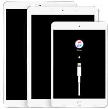 How To Enter Recovery Mode On Ipad Ipad Air Ipad Mini Early Ipad Pro Ipad Mini Ipad Air Ipad