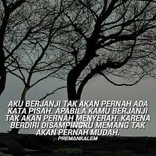 Seorang preman adalah mereka yang merugikan masyarakat, jadi sadari dosamu, berubahlah menjadi yang lebih baik kedepannya ayo buktikan bahwa kamu tidak. 80 Gambar Meme Kata2 Premankalem Terbaru Gambar Lucu Terbaru